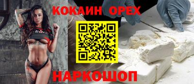 прущие грибы Будённовск