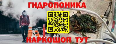 прущие грибы Будённовск