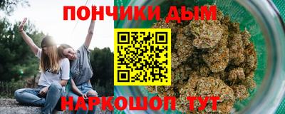 прущие грибы Будённовск