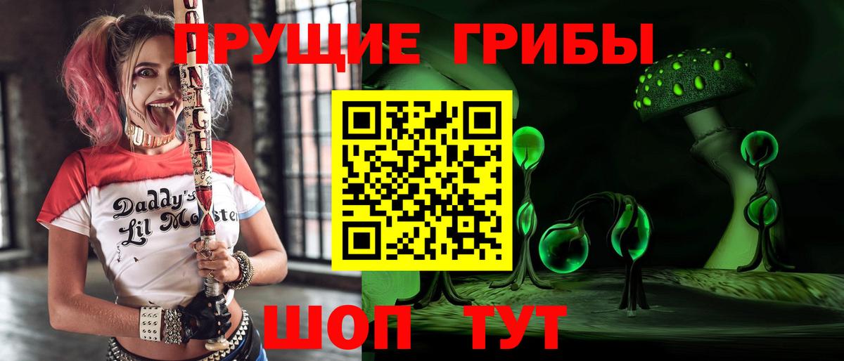 Псилоцибиновые грибы GOLDEN TEACHER  Вход с VPN  Похвистнево 